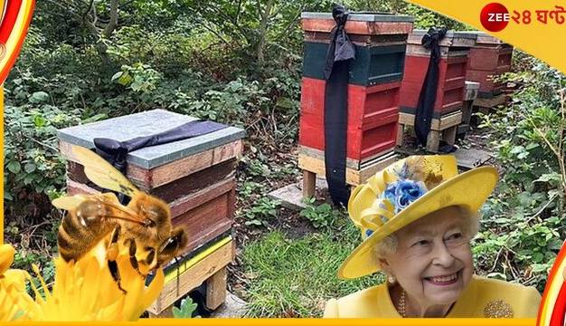 چرا زنبورها از مرگ ملکه انگلیس مطلع شدند؟