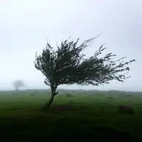 هشدار هواشناسی نسبت به رگبار باران و رعدوبرق در کهگیلویه‌وبویراحمد