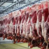 قیمت خرید حمایتی گوشت قرمز در خراسان‌شمالی افزایش یافت