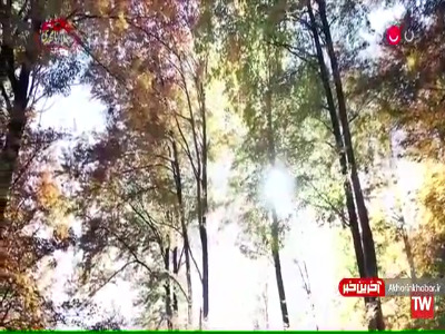 نماهنگی با صدای پدرام پالیز به نام «عاشق ترینم»