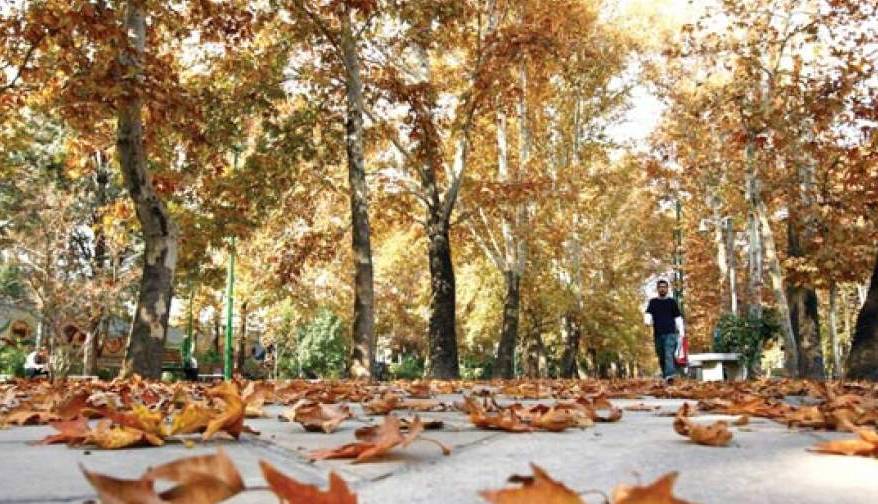 صوت/ صدای آمدن پاییز را بشنوید