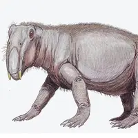 خوکِ دوران دایناسورها چه شکلی بوده است؟