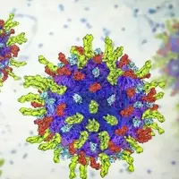 درمان سرطان با کمک یک ویروس شایع