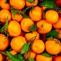 خواص باورنکردنی نارنگی برای 100نوع بیماری
