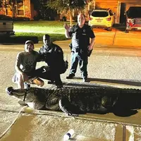 مبارزه با تمساح عظیم الجثه در خیابان!