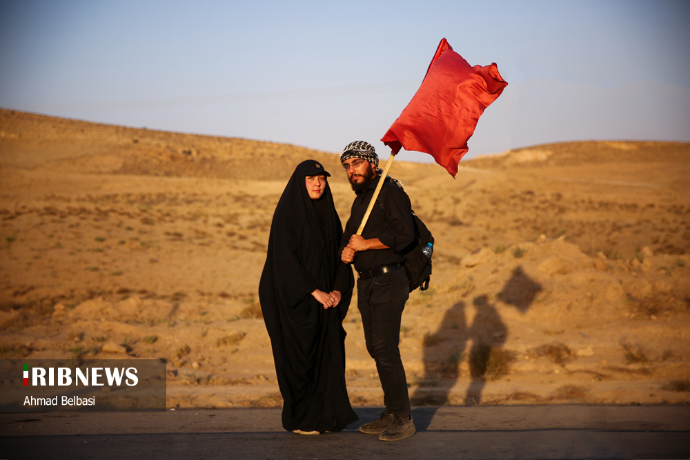 زائران پیاده و عاشقان امام رئوف