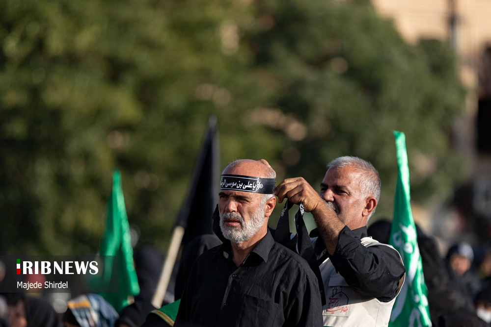 عکس/ تجمع امام رضایی ها در همدان