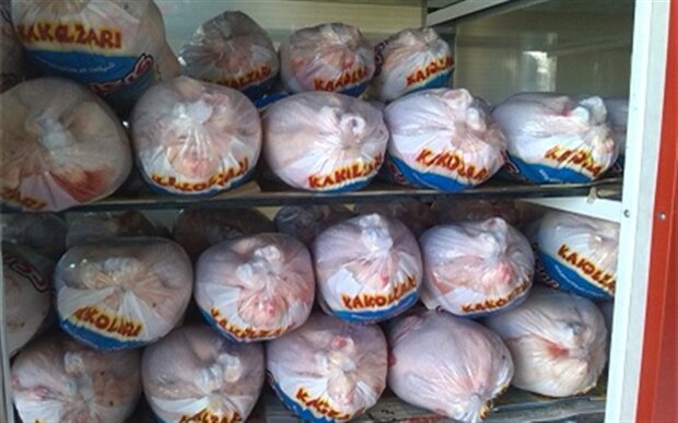 توزیع ۷۰۰ تن مرغ در راستای تنظیم بازار در ایلام