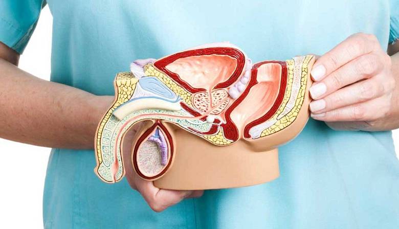 دلیل بزرگ شدن پروستات و عوارض آن چیست؟