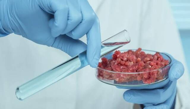تولید گوشت آزمایشگاهی با میدان مغناطیسی