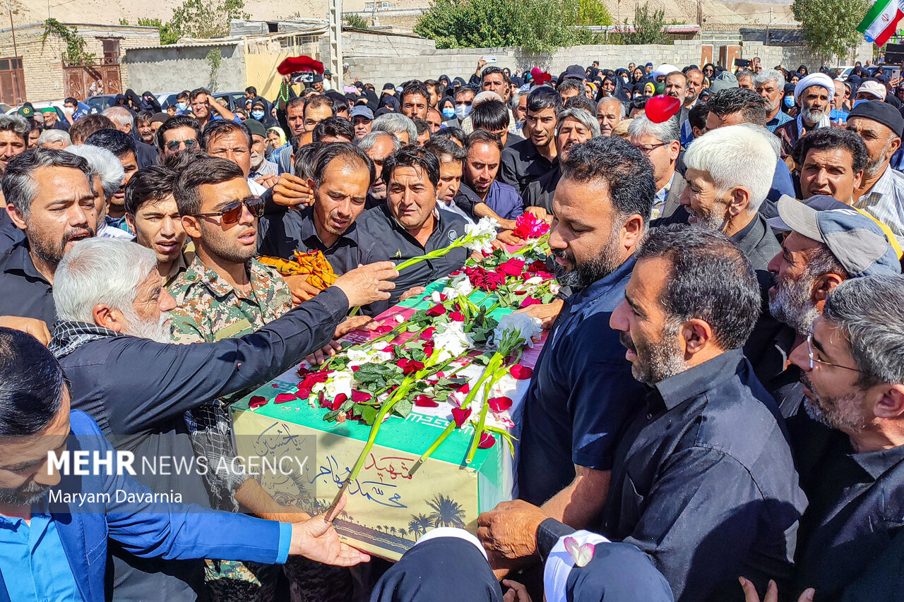 پرستوی مهاجر به خانه بازگشت