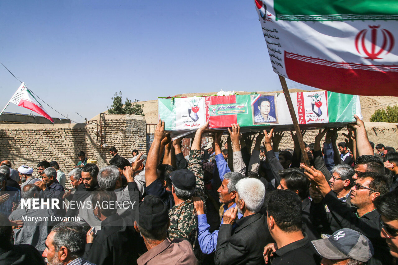 پرستوی مهاجر به خانه بازگشت