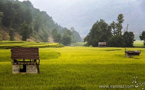 تصاویری زیبا از طبیعت آرامبخش شمال ایران