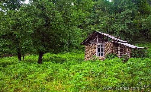 تصاویری زیبا از طبیعت آرامبخش شمال ایران