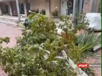 خسارت طوفان ایان در ایالت فلوریدا