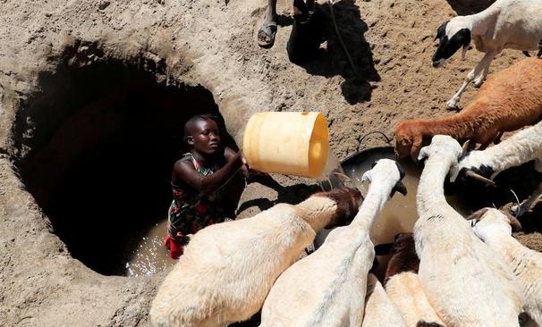 بحران خشکسالی شدید در کنیا