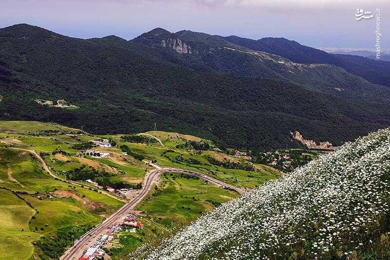 طبیعت بکر جنگل فندقلو
