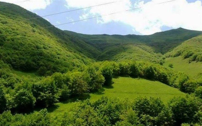 جنگل بکر فندقلو در اردبیل