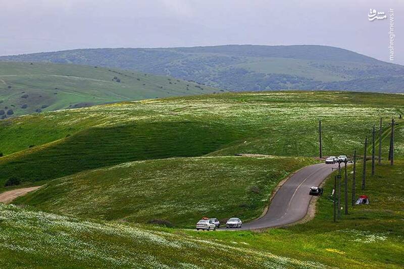 طبیعت بکر جنگل فندقلو