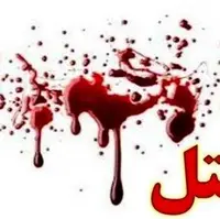 جزئیات قتل یک کارآموز وکالت در استان کرمان