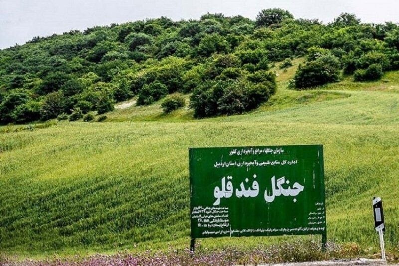 جنگل بکر فندقلو در اردبیل