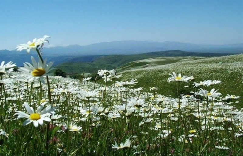جنگل بکر فندقلو در اردبیل