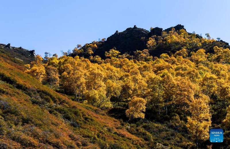 مناظر پاییزی کوه "داکینگ" در "مغولستان" چین