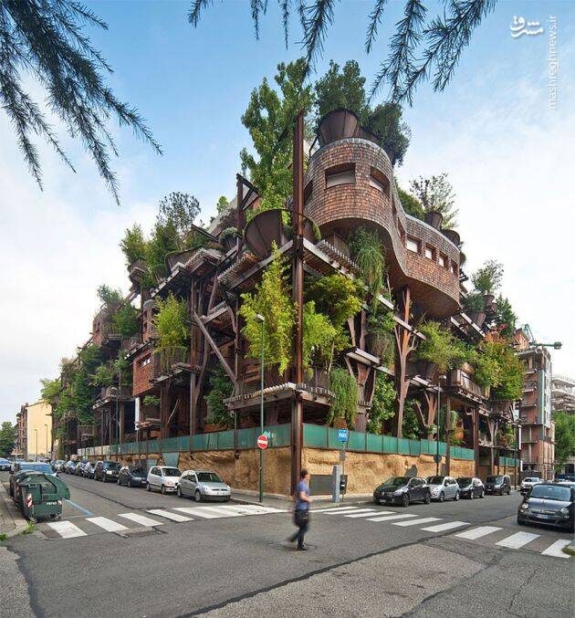 خانه ساخته شده از ۱۵۰ درخت