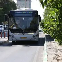 موافقت شورای شهر بوشهر برای خرید ۱۴ اتوبوس