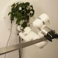  قمه‌کشی ربات با استفاده از مغز گیاهی!