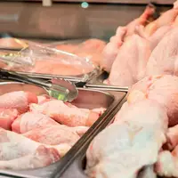 قیمت گوشت مرغ در استان البرز کاهش می‌یابد