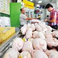 ممنوعیت خروج مرغ زنده و لاشه از استان قزوین