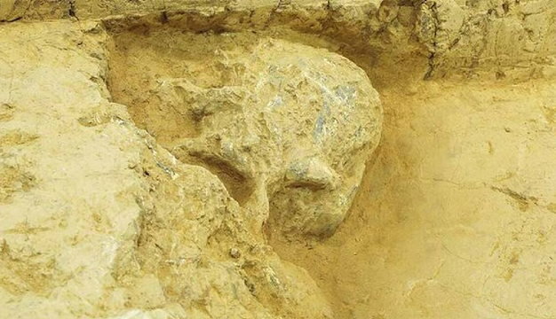 گوناگون/ کشف جمجمه انسان یک میلیون ساله
