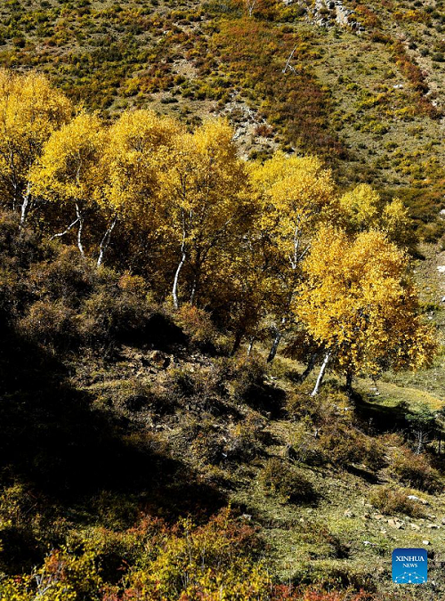 مناظر پاییزی کوه "داکینگ" در "مغولستان" چین