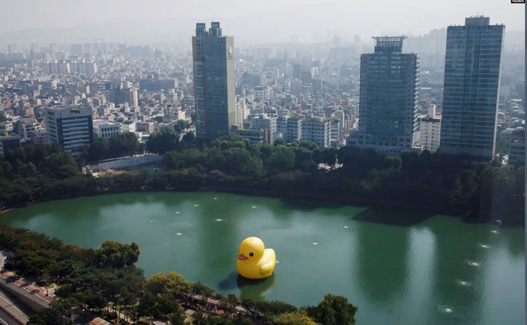 اردک پلاستیکی غول پیکر شناور در کره جنوبی