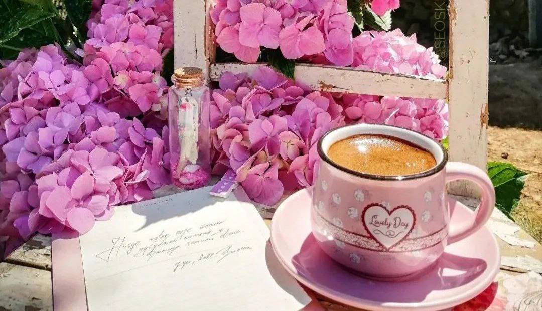 بخشی از کتاب/ فصلش که برسد حتما شکوفه‌ها سر می‌زنند