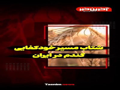 شتاب مسیر خودکفایی گندم در ایران