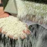 انبار احتکار برنج در شیراز لو رفت