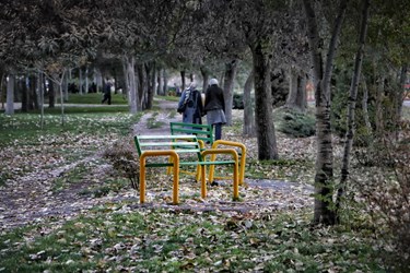 جلوه‌گری پاییز در کوچه‌‌پس‌کوچه‌های اردبیل