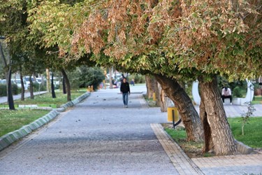 جلوه‌گری پاییز در کوچه‌‌پس‌کوچه‌های اردبیل