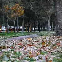 جلوه‌گری پاییز در کوچه‌‌پس‌کوچه‌های اردبیل