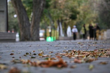 جلوه‌گری پاییز در کوچه‌‌پس‌کوچه‌های اردبیل
