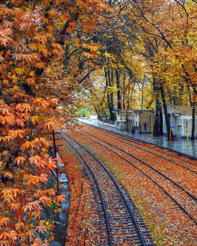 پاییز در راه‌آهن بیشه لرستان