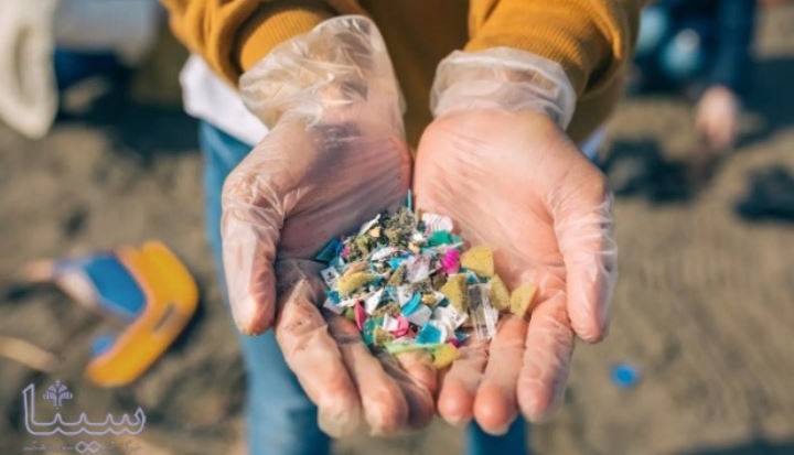کاهو و ماهی آلوده به نانو پلاستیک ها است