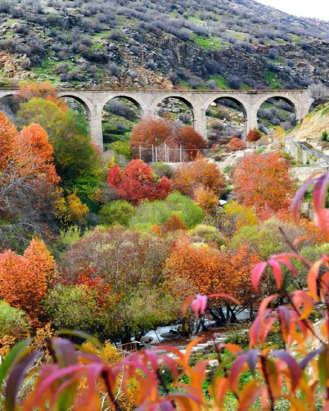 پاییز در راه‌آهن بیشه لرستان