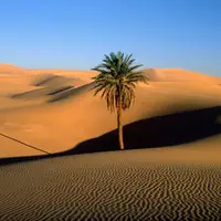 آهنگ محلی/ «صحرا» اثری بر اساس موسیقی محلی ترکمن