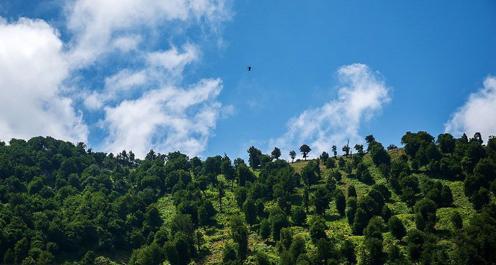 برفچال زیبای مینودشت