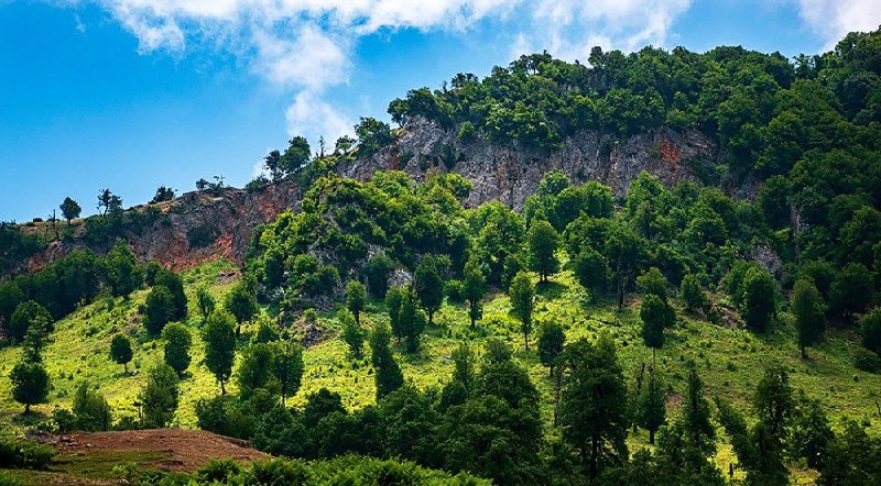 برفچال زیبای مینودشت