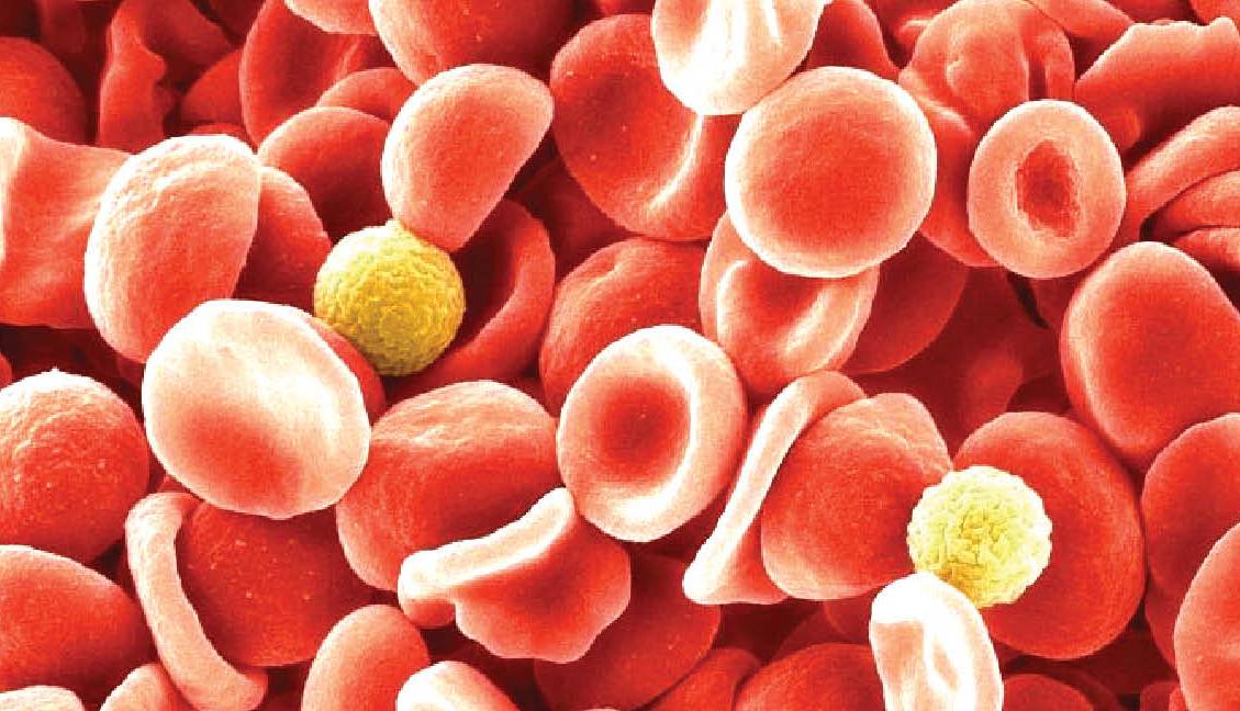 گروه خونی جدید ناجی نوزادان؟