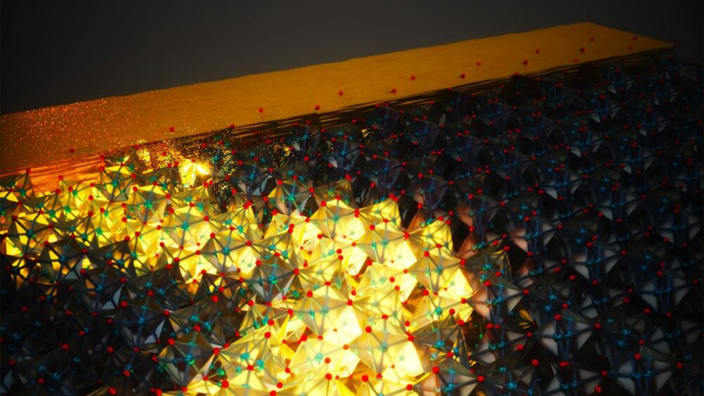 کشف نورون‌هایی با عملکرد خوب حافظه